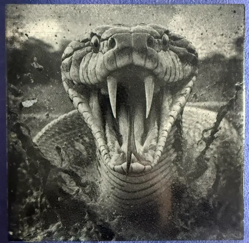 Laser engraving by Kovács György, made with DithX